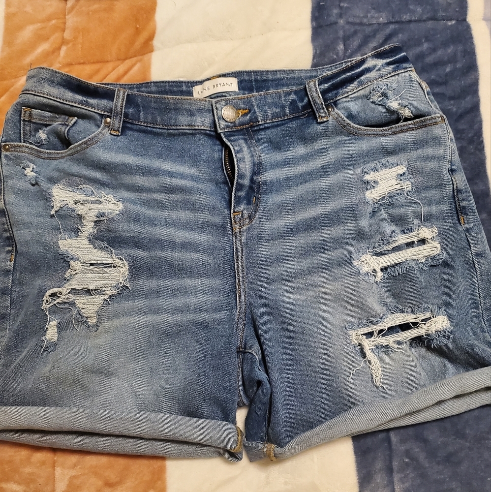 Lane Bryant Denim Shorts